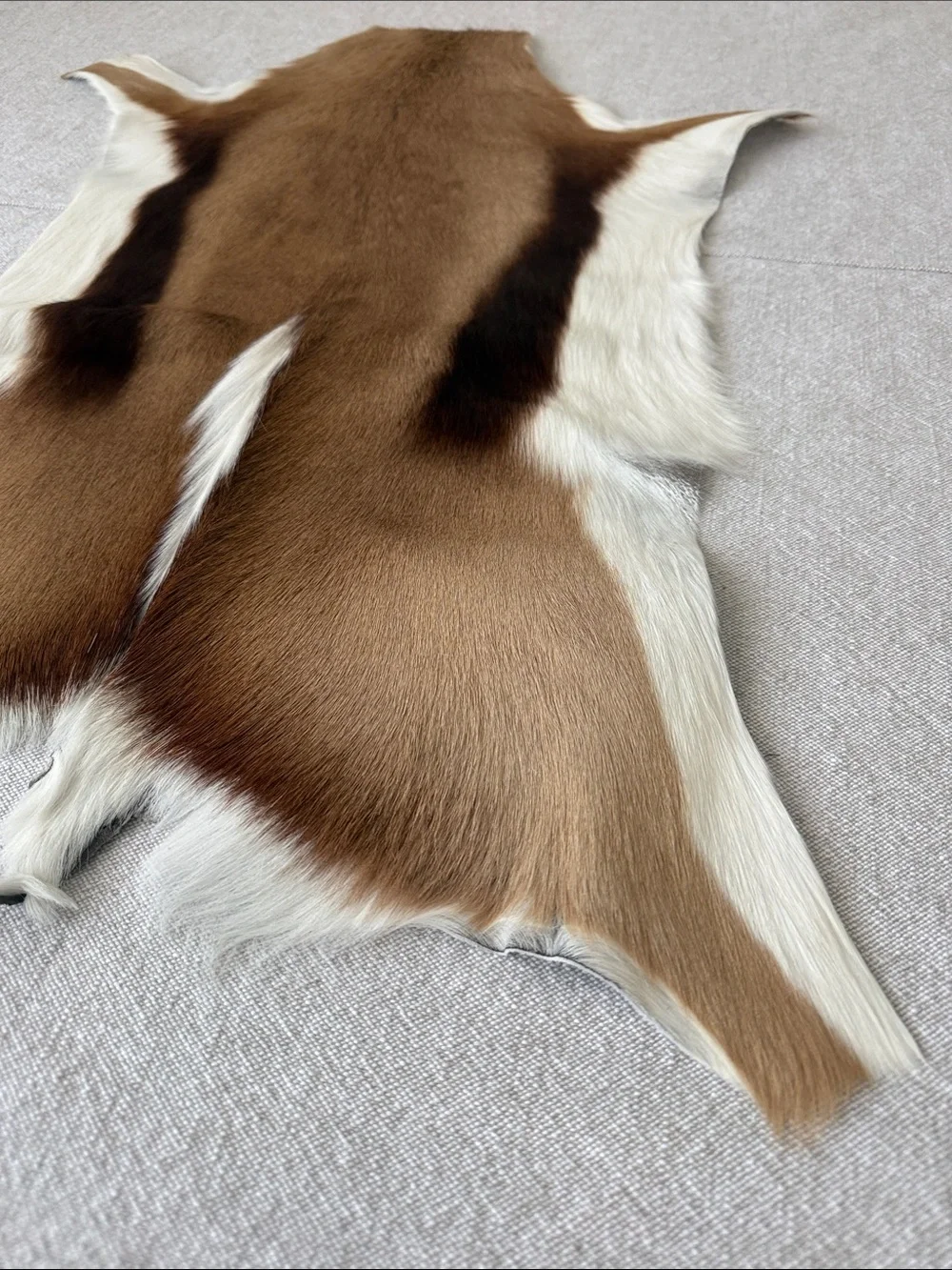 Natural springbock Hide Rug - Brown, White & Dark Brown Pattern - Picture 2 of 5